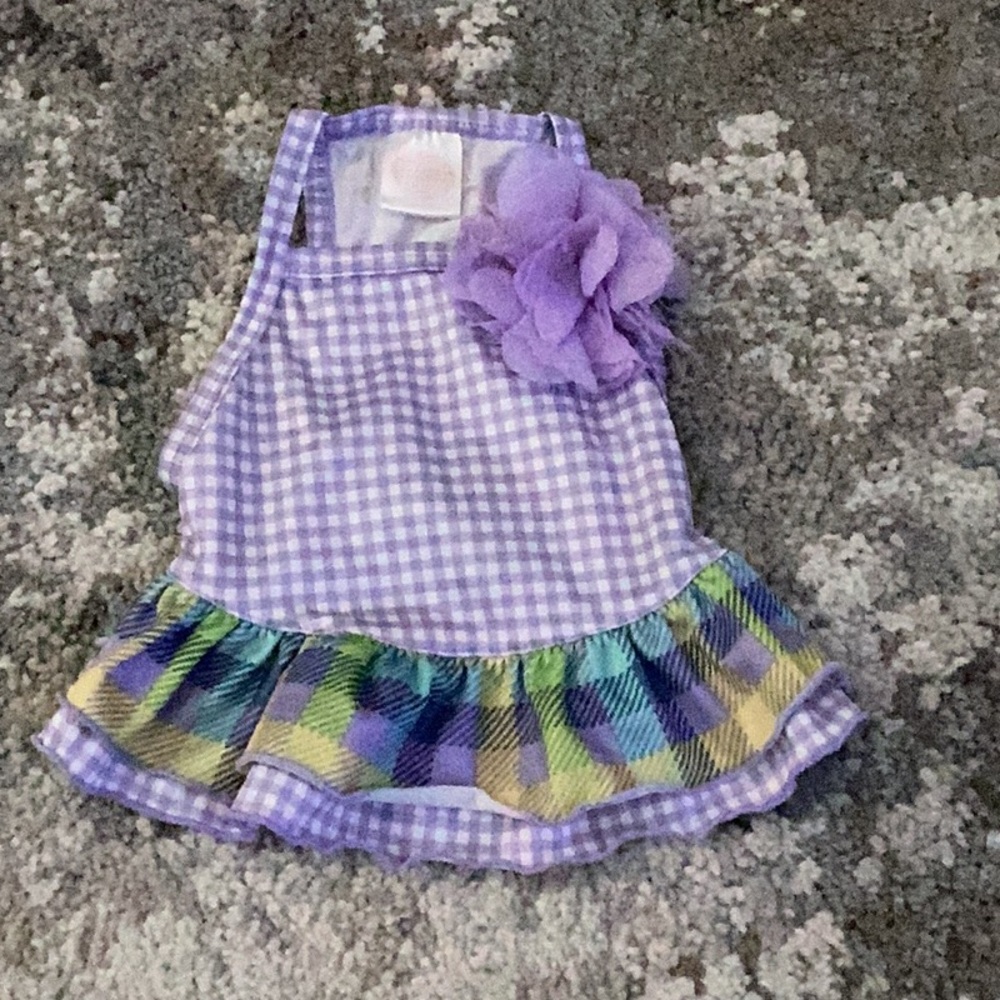 Spring dog dress